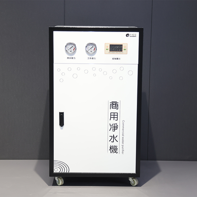 Direct Drinking Water Equipment Steel Water Treatment Machinery with Pump Media Water Purifier Filtration for 220v Application
