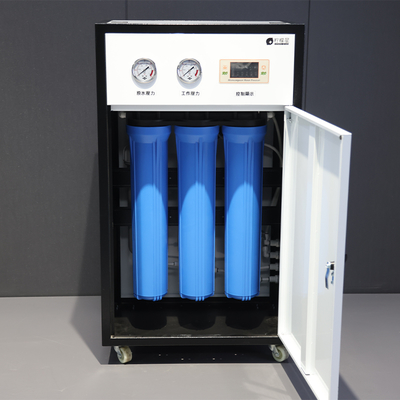 Direct Drinking Water Equipment Steel Water Treatment Machinery with Pump Media Water Purifier Filtration for 220v Application