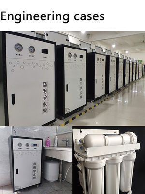 Direct Drinking Water Equipment Steel Water Treatment Machinery with Pump Media Water Purifier Filtration for 220v Application
